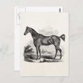 Vintage Thoroughbred Horse Equestrian Personalized Briefkaart (Voorkant / Achterkant)