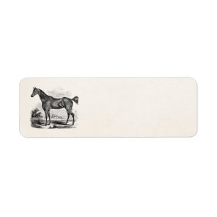 Vintage Thoroughbred Horse Equestrian Personalized Etiket