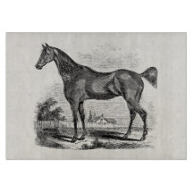 Vintage Thoroughbred Horse Equestrian Personalized
