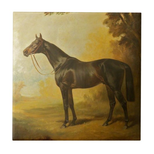 Vintage Thoroughbred Horse Tegeltje (Voorkant)