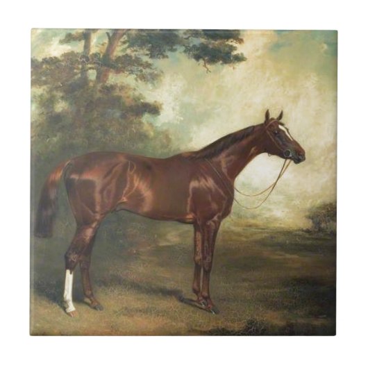 Vintage Thoroughbred Horse Tegeltje (Voorkant)