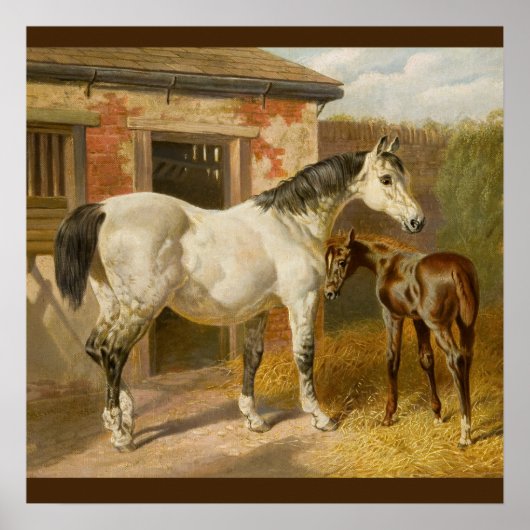 Vintage Thoroughbred Mare and Foal Poster (Voorkant)