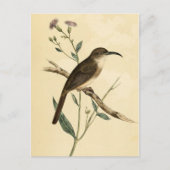 Vintage Thrush Bird Briefkaart (Voorkant)