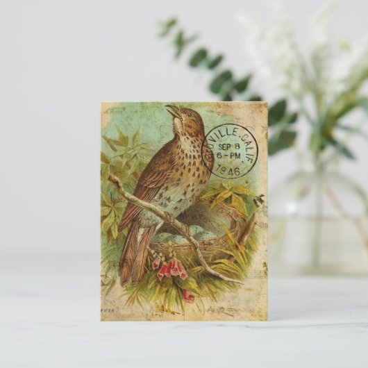 Vintage Thrush Bird Briefkaart (Staand voorkant)