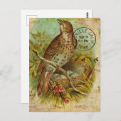 Vintage Thrush Bird Briefkaart (Voorkant / Achterkant)