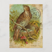 Vintage Thrush Bird Briefkaart (Voorkant)