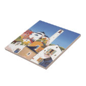 Vintage Ticino Tessin Canton Zwitserland Tegeltje (Zijkant)