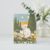 Vintage Tlemcen Algerije Briefkaart (Staand voorkant)