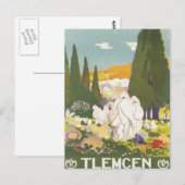 Vintage Tlemcen Algerije Briefkaart (Voorkant / Achterkant)