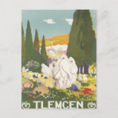 Vintage Tlemcen Algerije Briefkaart (Voorkant)