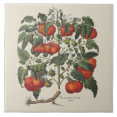 Vintage tomatafdruk tegel tegeltje (Voorkant)
