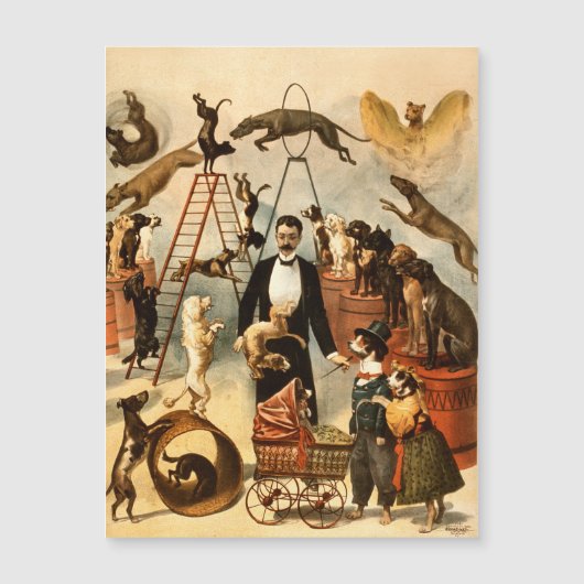 Vintage Trained Circus Dog Act Trick Dogs1899 Post (Voorkant)