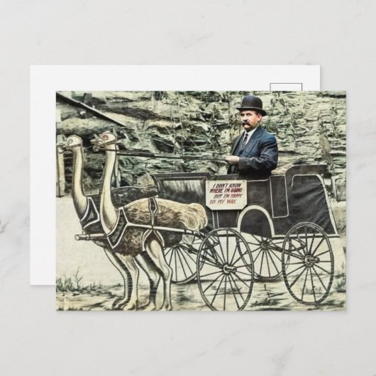 Vintage Travel Briefkaart (Voorkant / Achterkant)