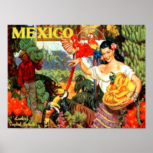 Vintage Travel Poster Mexico (Voorkant)