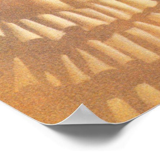 Vintage Travel Poster - Veracruz Mexico (Hoek)