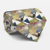 Vintage Travel Poster, vliegtuig boven Nice Frankr Stropdas (Opgerold)