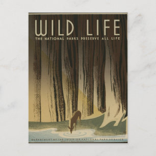 Vintage Travel Poster - Wildlife circa 1940 Briefkaart