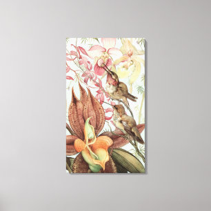 Vintage Tropische Orchideeën, Bloemen en Kolibries Canvas Afdruk