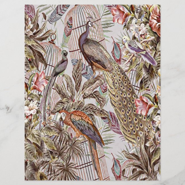 Vintage tropische vogels (Voorkant)