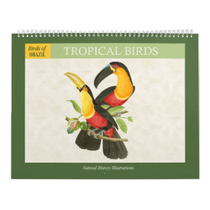 Vintage Tropische Vogels Illustraties 2027 Kalender