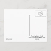 Vintage trouwtaartornament op ansichtkaart aankondigingskaart (Achterkant)