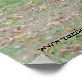 Vintage Truck 3 Poster (Hoek)