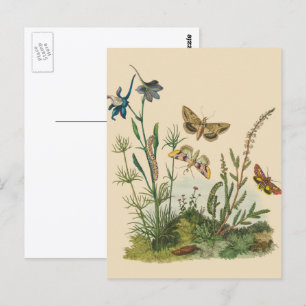 Vintage tuininsecten, bustervliegen, pijlers briefkaart