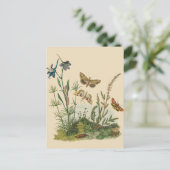 Vintage tuininsecten, bustervliegen, pijlers briefkaart (Staand voorkant)