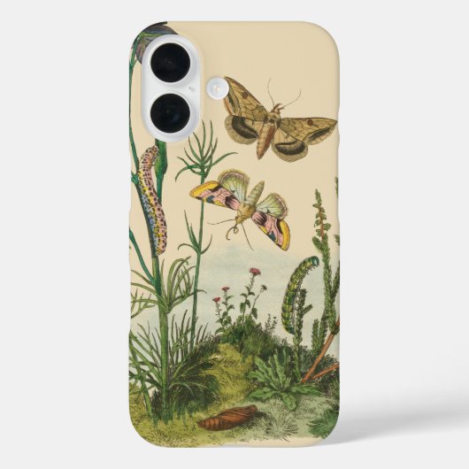 Vintage tuininsecten, bustervliegen, pijlers Case-Mate iPhone case (Achterkant)