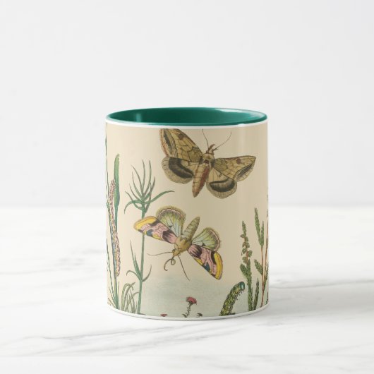 Vintage tuininsecten, bustervliegen, pijlers mok (Midden)