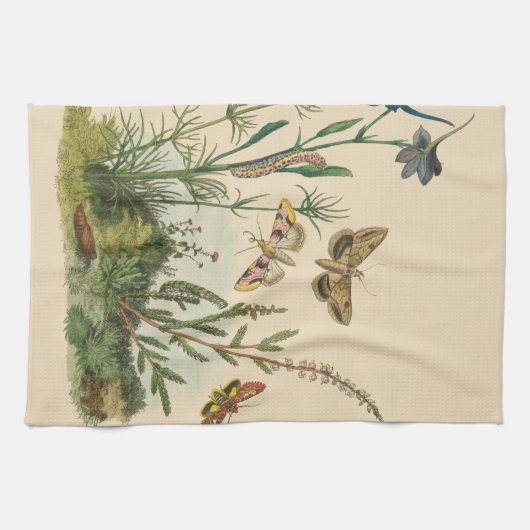 Vintage tuininsecten, bustervliegen, pijlers theedoek (Horizontaal)