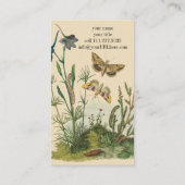 Vintage tuininsecten, bustervliegen, pijlers visitekaartje (Achterkant)