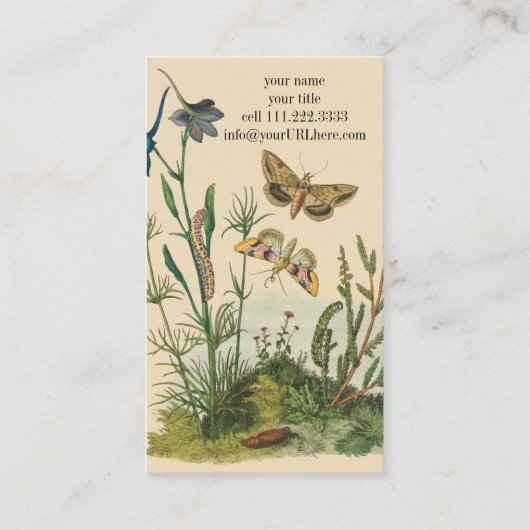 Vintage tuininsecten, bustervliegen, pijlers visitekaartje (Achterkant)