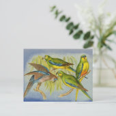Vintage Turquoise Parrot Briefkaart (Staand voorkant)