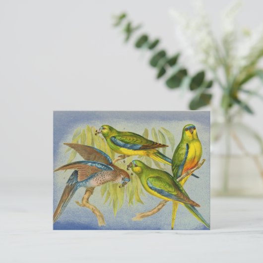 Vintage Turquoise Parrot Briefkaart (Staand voorkant)