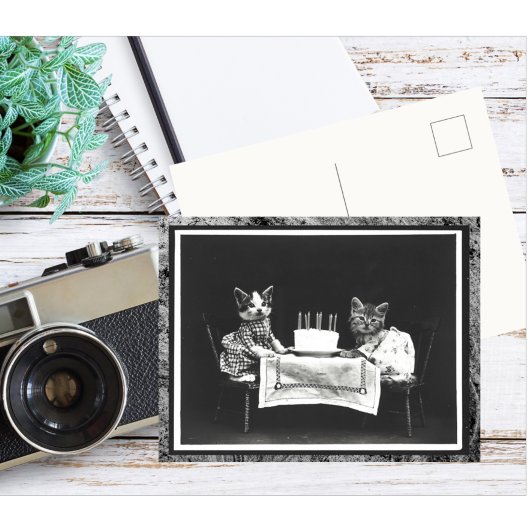 Vintage twee Kittens en de verjaardagstaart Briefkaart
