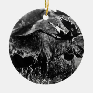 Vintage USA Alaska eland stier 1970 Keramisch Ornament