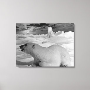 Vintage USA Alaska ijsbeer Canvas Afdruk