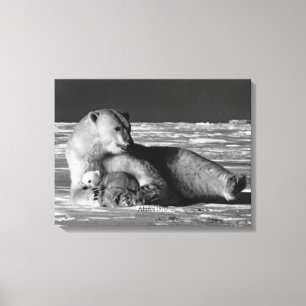 Vintage USA Alaska moeder ijsbeer Canvas Afdruk