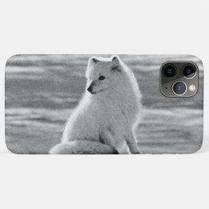 Vintage USA Alaska Poolvos Case-Mate iPhone Case