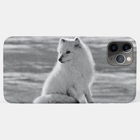 Vintage USA Alaska Poolvos Case-Mate iPhone Case (Achterkant (horizontaal))