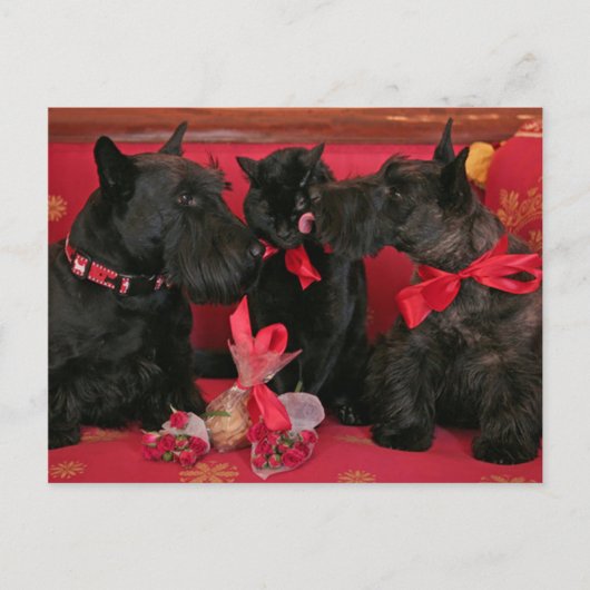 Vintage: Valentijnsdag - Feestdagenkaart (Voorkant)