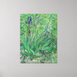 Vintage Van Gogh Iris Canvas Afdruk