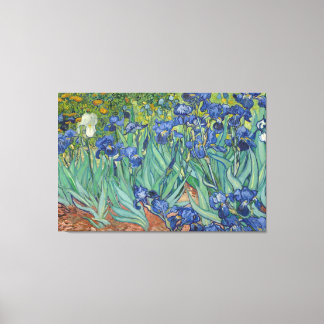 Vintage Van Gogh Irises Canvas Afdruk