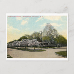 Vintage van Oxford St. Rochester Briefkaart