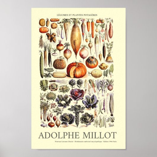Vintage Vegetable Wall Art by Adolphe Millot Poster (Voorkant)