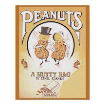 Vintage vel Music Hoesje Peanuts A Nutty Rag copy