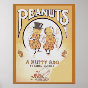 Vintage vel Music Hoesje Peanuts A Nutty Rag copy Poster