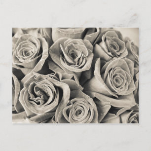 Vintage Velvet Beauty Briefkaart