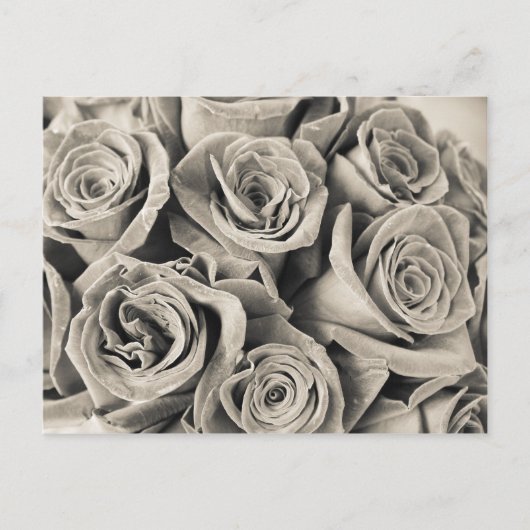 Vintage Velvet Beauty Briefkaart (Voorkant)